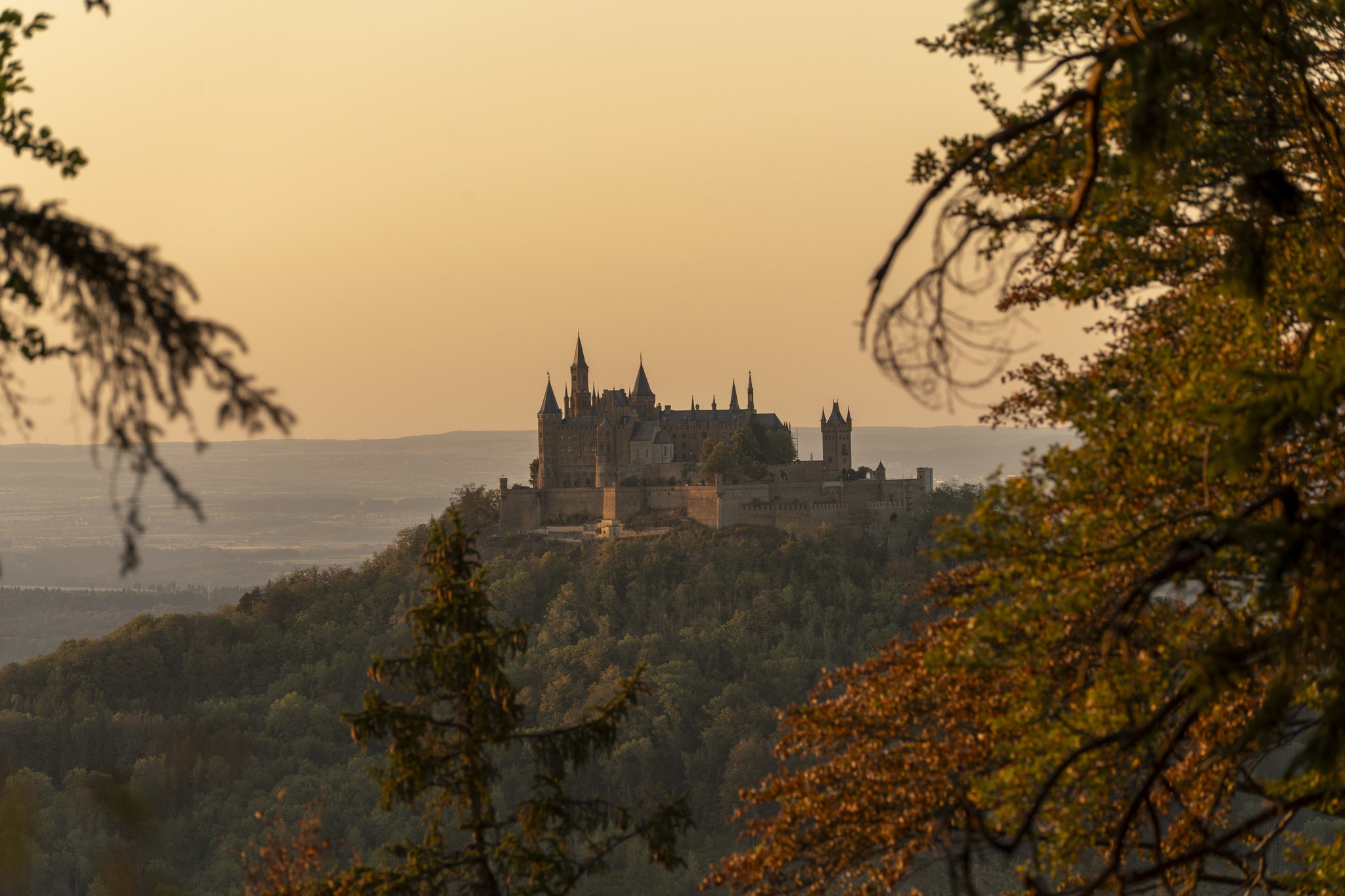 Burg Hohenzollern im Schwarzwaldlicht